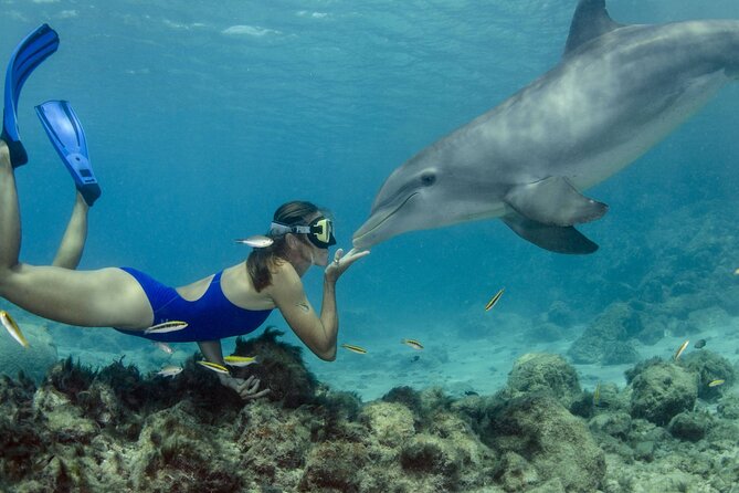 Private Speed Boat Snorkeling with Dolphins Trip - Hurghada - The private format changes the experience