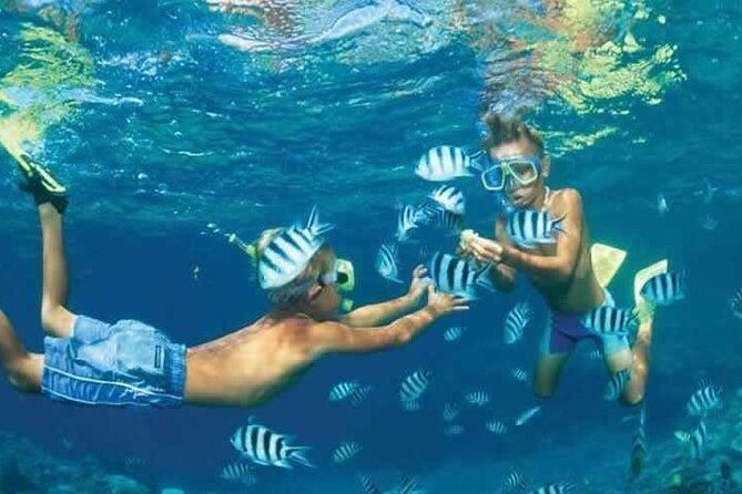 Private Speed Boat Snorkeling with Dolphins Trip - Hurghada - Booking and cancellation advice