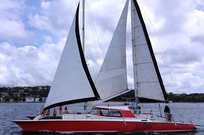Private Tour: Barbados Catamaran Snorkeling Cruise - Holetown’s shipwreck and tropical fish