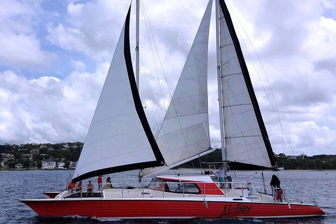 Private Tour: Barbados Catamaran Snorkeling Cruise - A beach stop that changes the pace