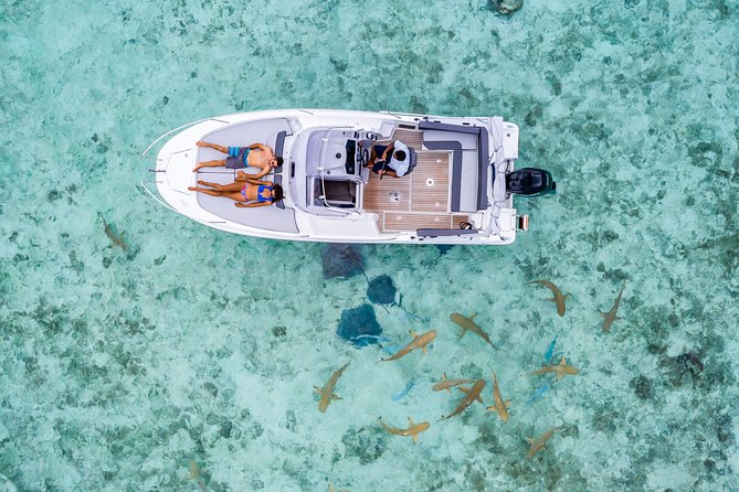 Private Tour: Bora Bora Lagoon Eco Snorkel Cruise - 3hrs or 6hrs - Setting out across Bora Bora’s lagoon