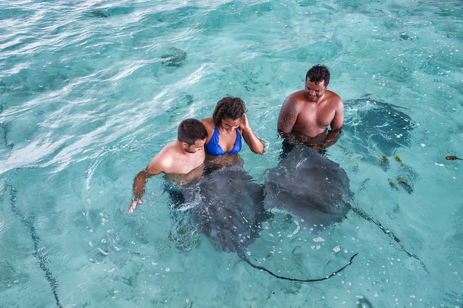 Private Tour: Bora Bora Lagoon Eco Snorkel Cruise - 3hrs or 6hrs - The six-hour tour and lunch on a secluded motu