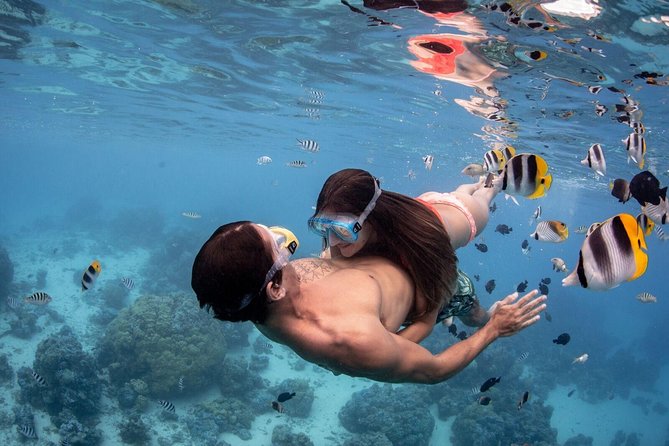 Private Tour: Bora Bora Lagoon Eco Snorkel Cruise - 3hrs or 6hrs - An eco policy with practical value