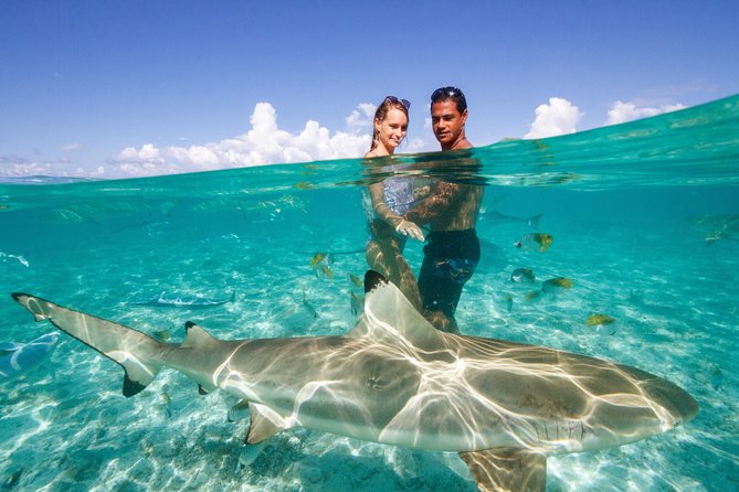 Private Tour: Bora Bora Lagoon Eco Snorkel Cruise - 3hrs or 6hrs - Price, value, and who gets the most from it