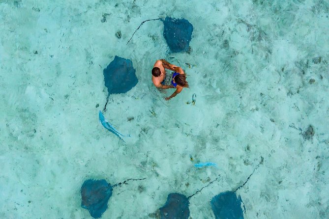 Private Tour: Bora Bora Lagoon Eco Snorkel Cruise - 3hrs or 6hrs - Practical details for a smooth outing
