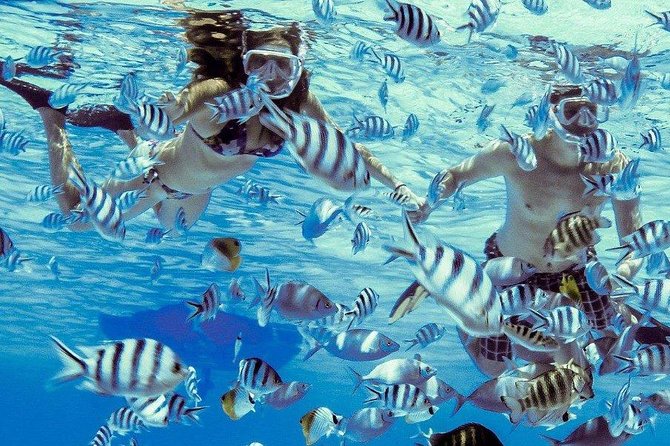 Private Tour: Bora Bora Lagoon Eco Snorkel Cruise - 3hrs or 6hrs - Why the private format matters in the water