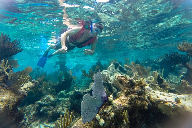 Private Tulum Ruins, Reef Snorkel & Cenote Adventure - Tulum: Maya ruins above the Caribbean