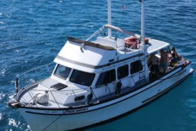 Private Turtle Canyon Snorkel Tour - Up to 6 Passengers - Who Will Get the Most From This Trip