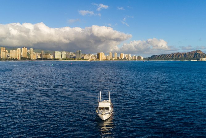 Private Turtle Canyon Snorkel Tour - Up to 6 Passengers - Meeting the Crew at Kewalo Basin Harbor
