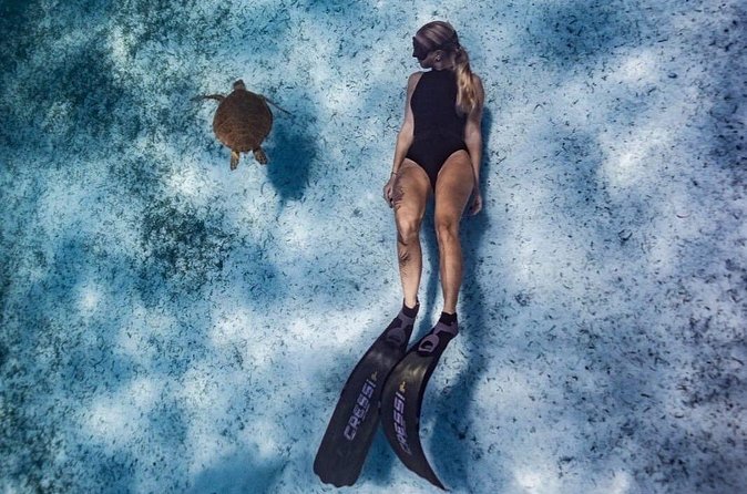 Private Turtle Spotting Snorkeling Excursion in Aruba - Guides add real value to a simple shore snorkel