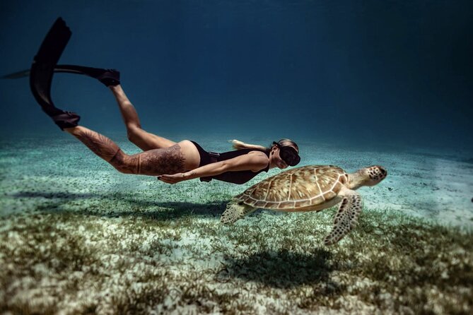 Private Turtle Spotting Snorkeling Excursion in Aruba - What the price means at $97 per person