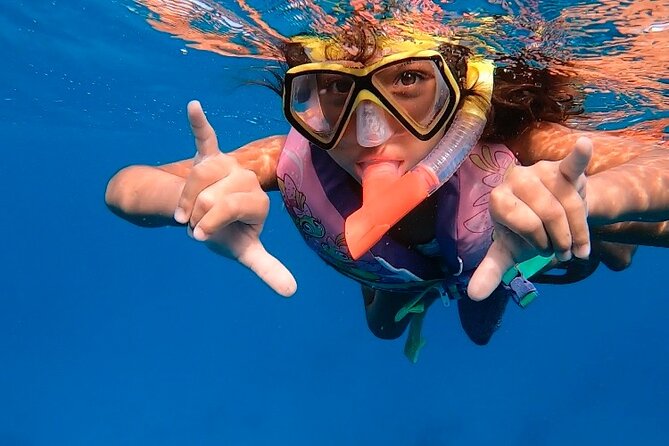 Private Turtle Spotting Snorkeling Excursion in Aruba - Practical preparation for the rocky shore entry