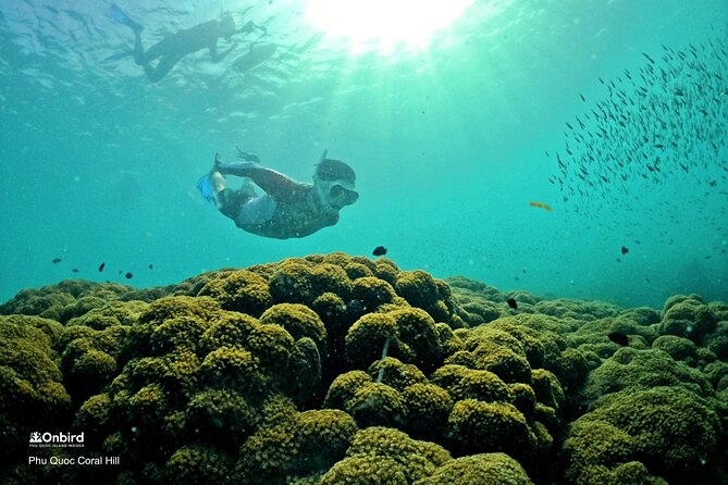 PRO-SNORKELING to Explore Hidden Coral Reefs (MAX 10 PAX) - The An Thoi departure and the speedboat ride