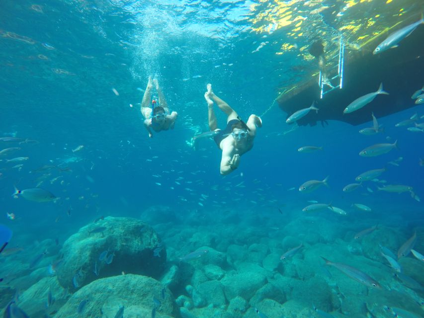 Puerto de Mogan: Boat and Snorkeling Trip - The coast from Puerto de Mogan to Tasarte