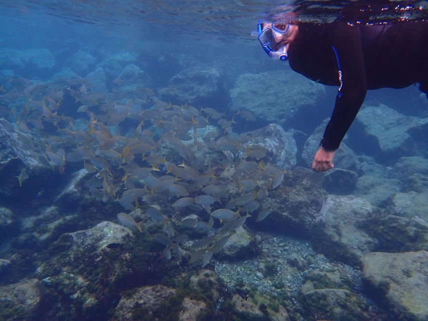Puerto del Carmen: Snorkeling Trip with Dive Instructor - Why the guide makes a difference for beginners