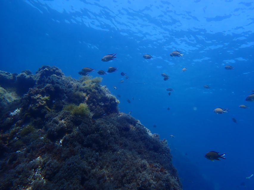 Puerto del Carmen: Snorkeling Trip with Dive Instructor - Cancellation, timing, and the details that can spoil the day