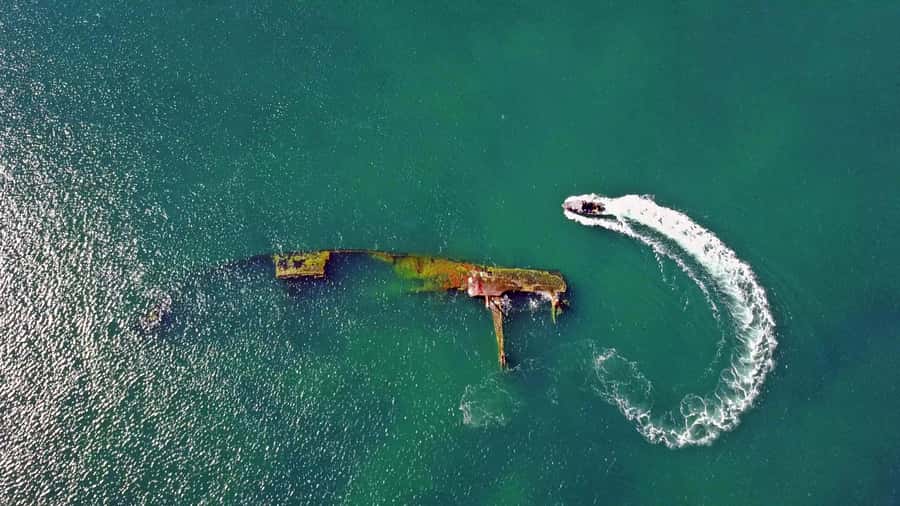 Puerto Madryn: Snorkeling Trip with Sea Lions - Key points to know before booking