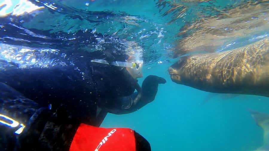 Puerto Madryn: Snorkeling Trip with Sea Lions - The boat ride and the Spanish shipwreck at Paraná Beach