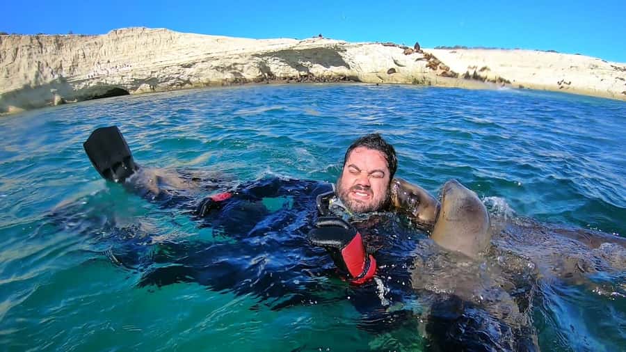 Puerto Madryn: Snorkeling Trip with Sea Lions - How much of the day is actually snorkeling
