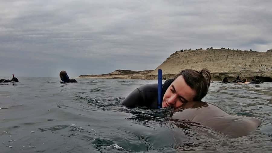 Puerto Madryn: Snorkeling Trip with Sea Lions - What the $150 price includes