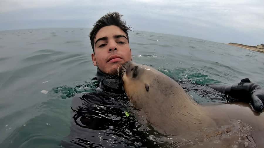 Puerto Madryn: Snorkeling Trip with Sea Lions - Who will enjoy this most