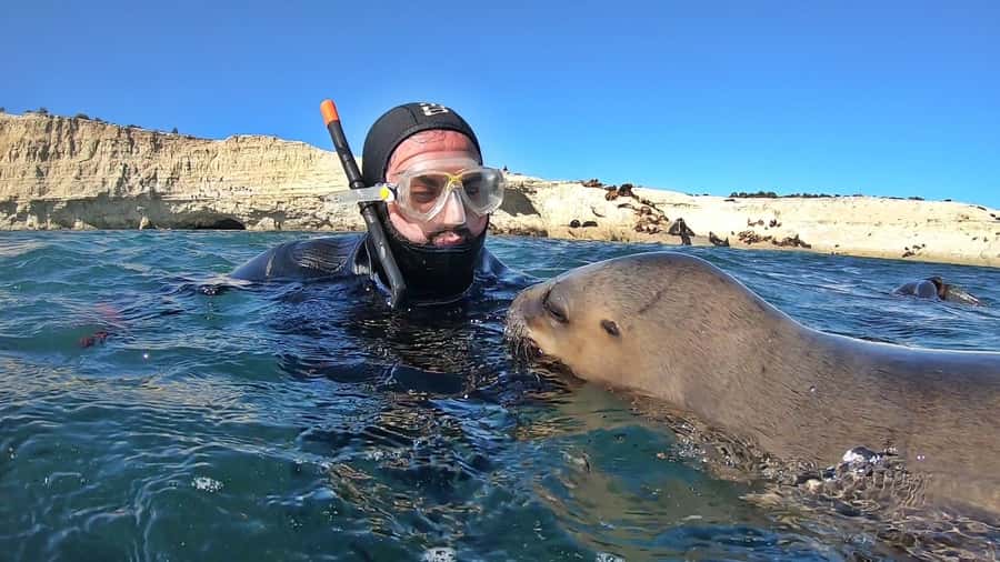 Puerto Madryn: Snorkeling Trip with Sea Lions - Getting ready at Madryn Buceo