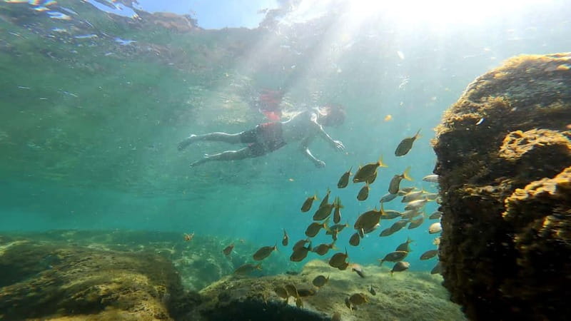 Puerto Mogán: Guided Adventure Kayak Tour in Caves & Snorkel - What the Mogán Caves route is really like