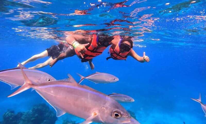 Puerto Morelos: Guided Snorkeling Tour with Gear & Fees - What makes this Puerto Morelos trip worth your time