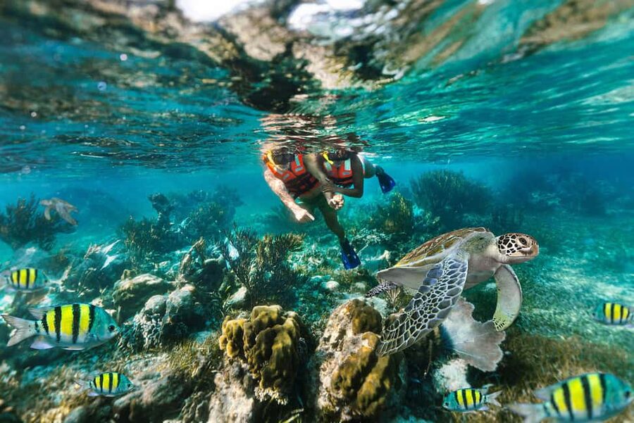 Puerto Morelos: National Reef Park Snorkeling & Beach Lunch - Why Puerto Morelos works for a short reef trip