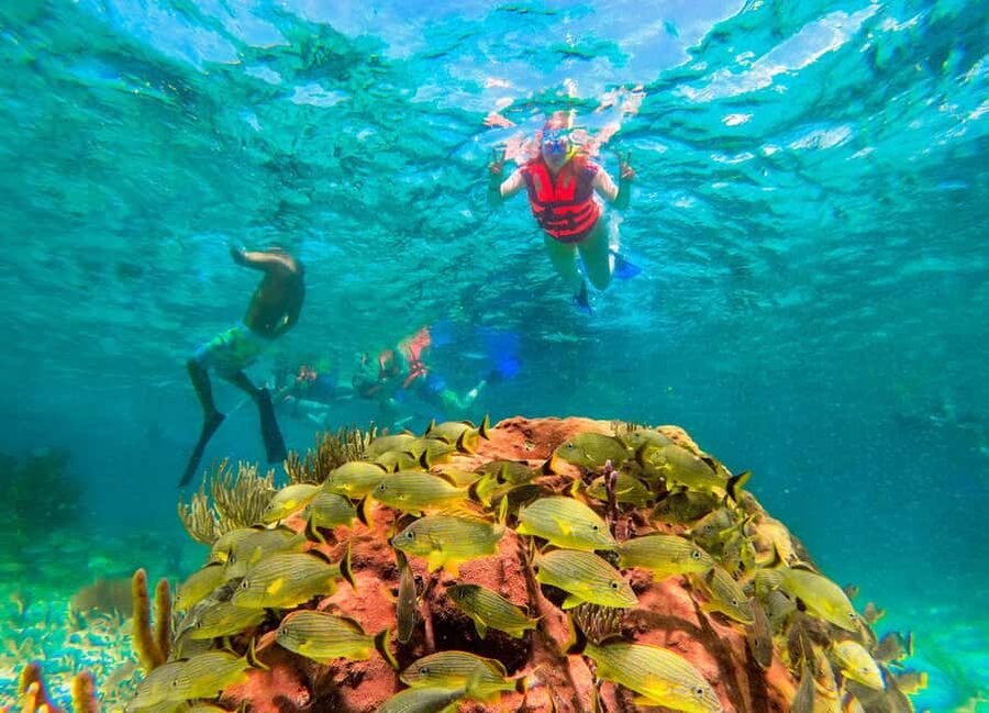 Puerto Morelos: National Reef Park Snorkeling & Beach Lunch - Reef rules that affect your packing list