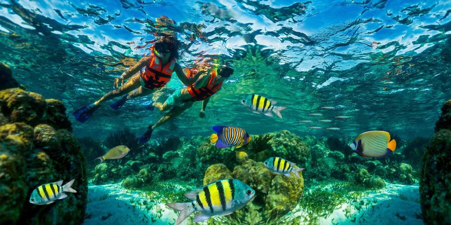 Puerto Morelos: Snorkel, Town Walk, Tequila & Beach Lunch - The ride from Cancun, Akumal, or Playa del Carmen