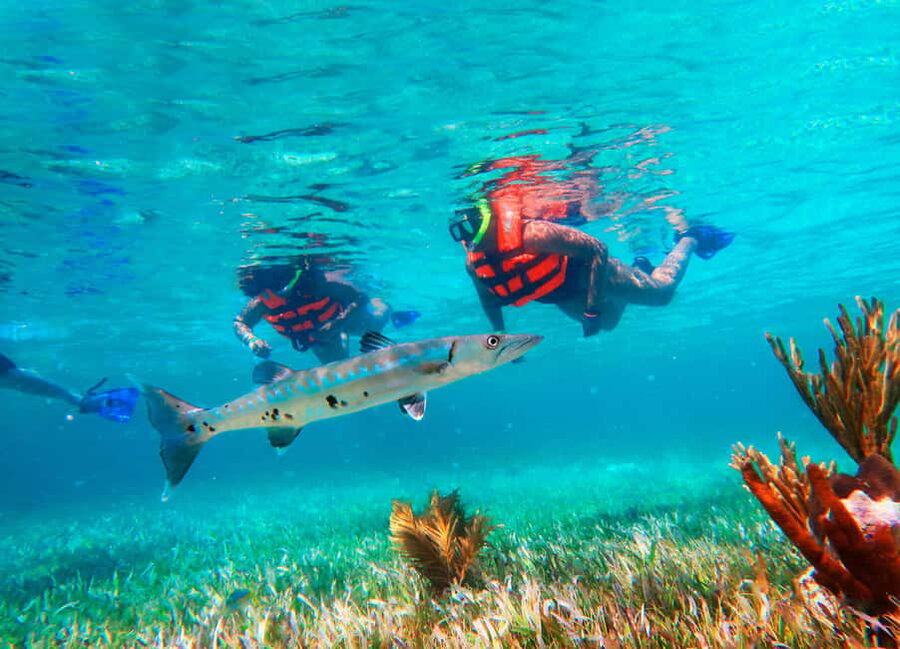 Puerto Morelos: Snorkel, Town Walk, Tequila & Beach Lunch - What 80 minutes of snorkeling really means