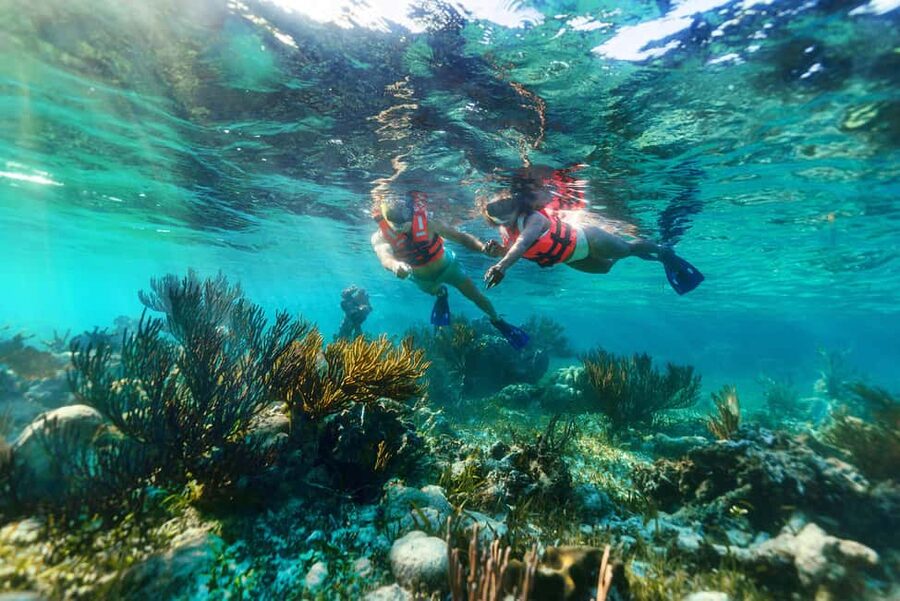 Puerto Morelos: Snorkel, Town Walk, Tequila & Beach Lunch - What happens when the sea is unsafe