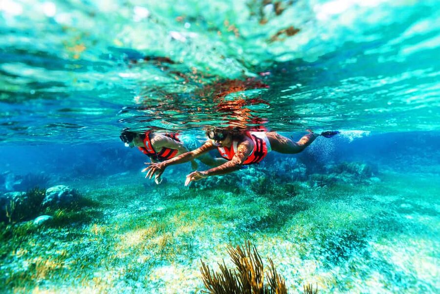 Puerto Morelos: Snorkel, Town Walk, Tequila & Beach Lunch - Who will enjoy this outing most