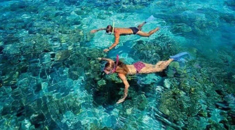 Puerto Morelos: Snorkeling at The National Reef Park - Key points to know before booking