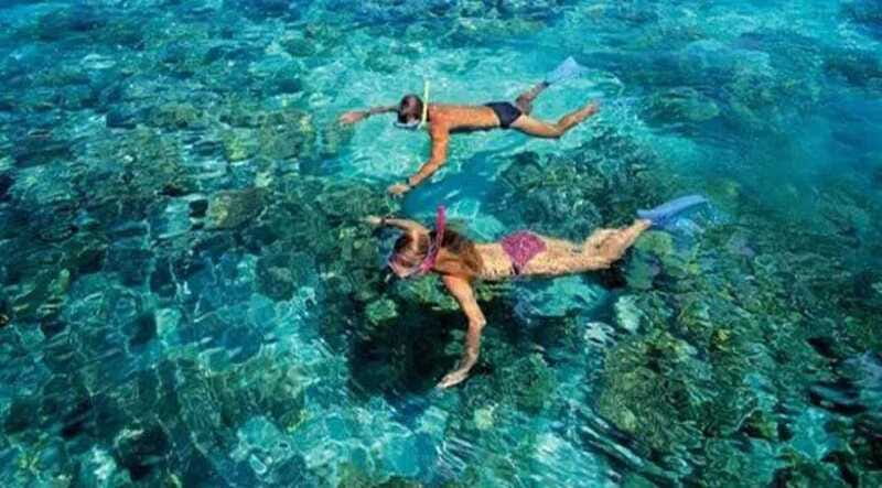 Puerto Morelos: Snorkeling at The National Reef Park - The sunscreen rule changes how you prepare