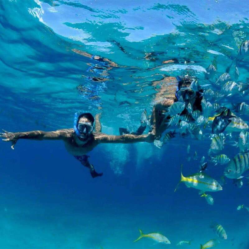 Puerto Morelos: Snorkeling at The National Reef Park - Two shallow stops inside a protected reef park