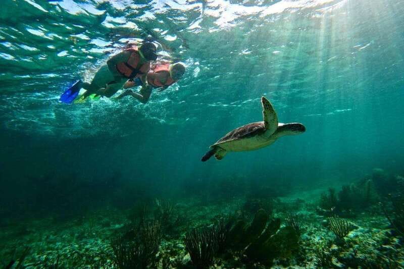 Puerto Morelos: Snorkeling Guided Activity - The short ride out to the first reef spot
