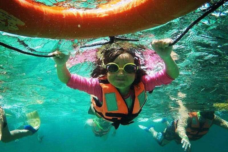 Puerto Morelos: Snorkeling Guided Activity - What the guide adds to the experience