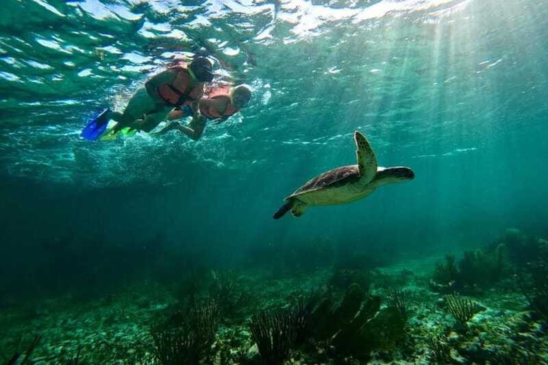 Puerto Morelos: Snorkeling Guided Activity - Who will get the most from this outing?