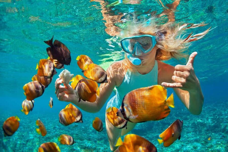 Puerto Plata: Catamaran Snorkeling Trip w/ Buffet & Open Bar - Boarding the 75-foot catamaran at Sosúa Bay