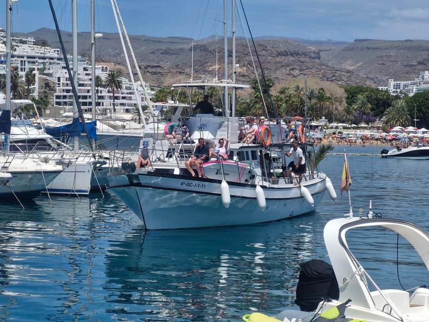 Puerto Rico, Gran Canaria: boat trip, drinks, food, paddle surfing, snorkeling - How the value compares with a simple beach day