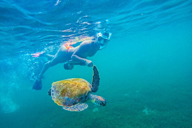 Puerto Rico Jet Snorkel with Turtles and Videos in San Juan - Why the jet snorkel changes the experience