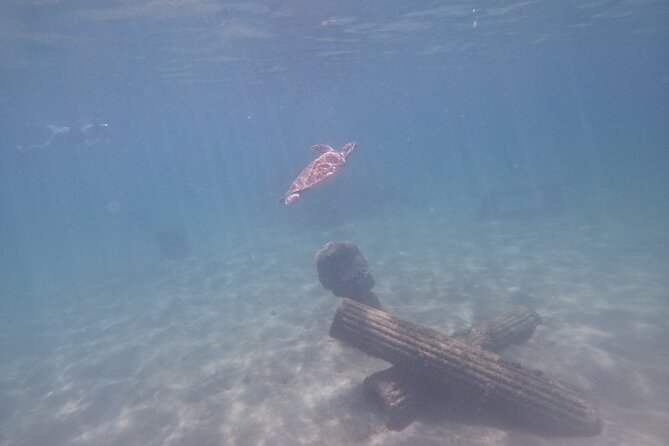 Puerto Rico Jet Snorkel with Turtles and Videos in San Juan - Looking for turtles in the bay