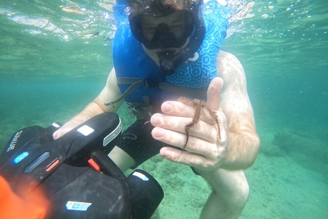 Puerto Rico Jet Snorkel with Turtles and Videos in San Juan - The camera service is worth considering