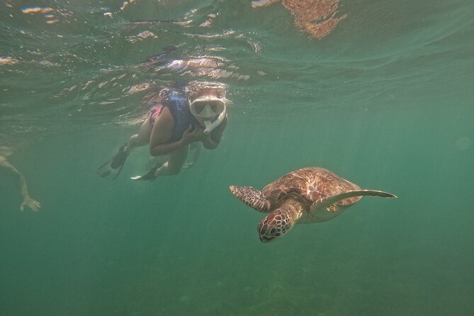 Puerto Rico Jet Snorkel with Turtles and Videos in San Juan - Timing, weather, and what to bring