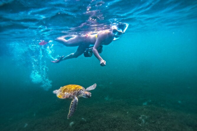Puerto Rico Jet Snorkel with Turtles and Videos in San Juan - Escambrón Beach is a convenient starting point