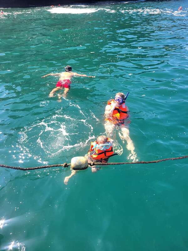Puerto Vallarta: 3-Hour Whale Watching and Snorkeling - Snorkeling: the biggest question mark