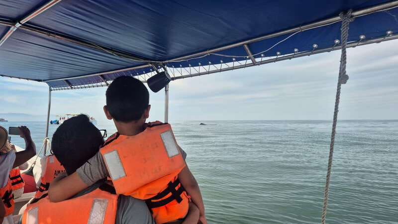 Puerto Vallarta: 3-Hour Whale Watching and Snorkeling - Beach time at Las Animas
