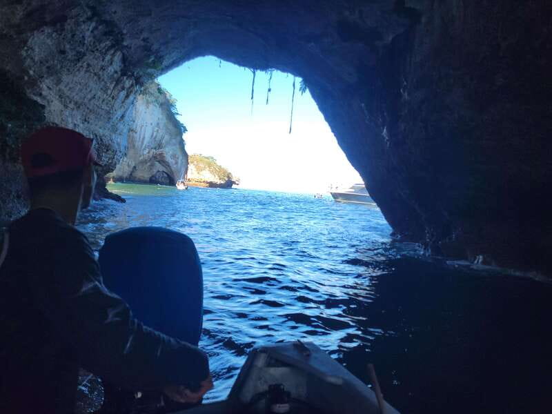 Puerto Vallarta: 3-Hour Whale Watching and Snorkeling - The three-hour promise and real-world timing